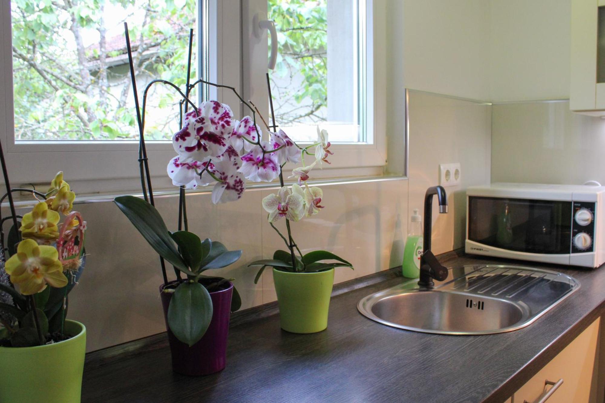 Apartman Nadja&Dani Kulen Vakuf Exteriör bild